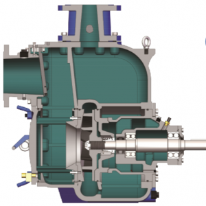 Variable Speed Pump Florida
